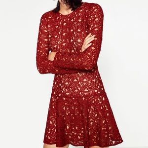 ZARA BLOGGERS FAV RED LACE DRESS WITH A-LINE SKIRT BRAND NEW WITH TAGS SMALL